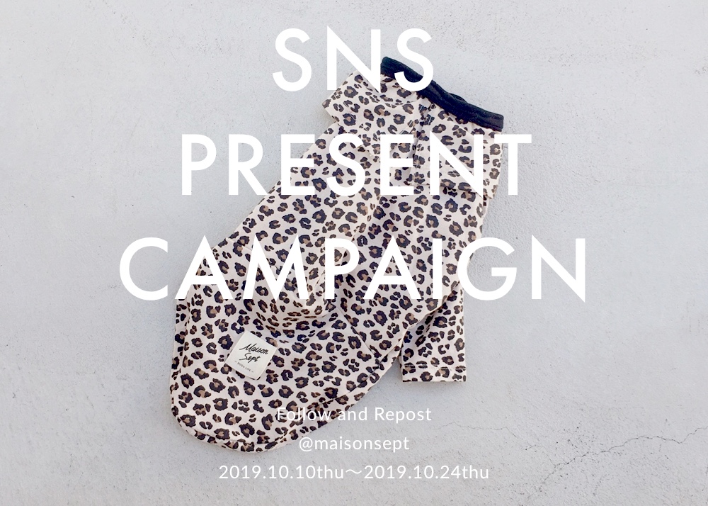 ★☆SNSキャンペーン開催中☆★ヒョウ柄イタグレ服プレゼント★☆