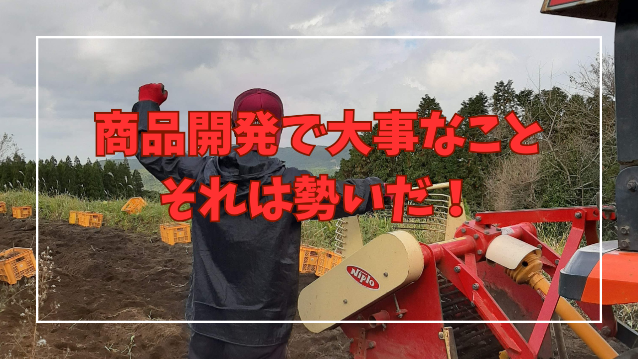 【商品開発の裏話②】焼き芋アイスクリームが三種類あるワケ