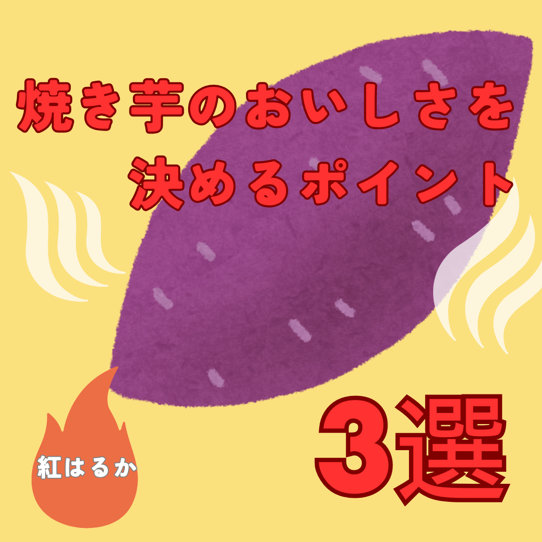 焼き芋のおいしさを決めるポイント　3選