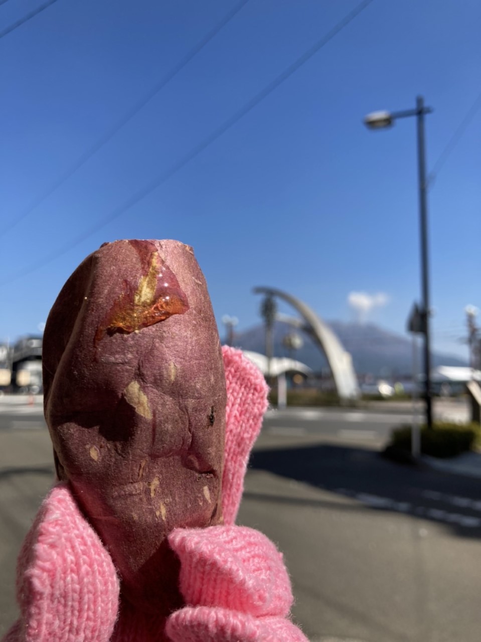 【お客様の声から③】取り合いになるんです