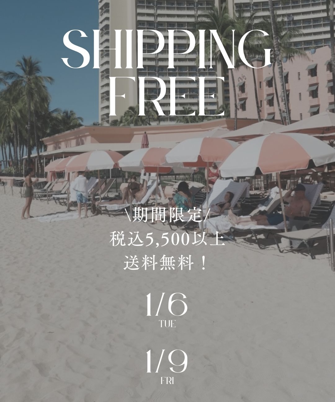 【キャンペーン】送料無料