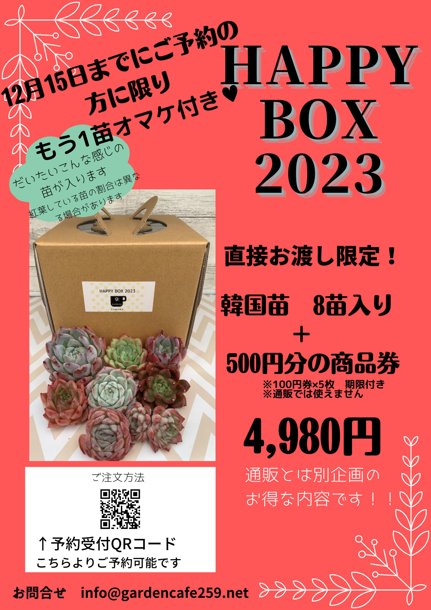 【多肉植物福袋】HappyBox2023　直接お渡し限定のご案内