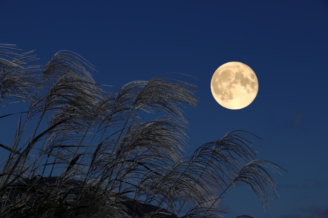 Vol.15«おこしと迎える十五夜»