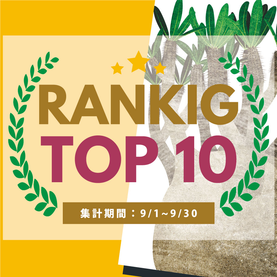 ９月の売れ筋ポスターRANKING【TOP１０】(2024/10/04)
