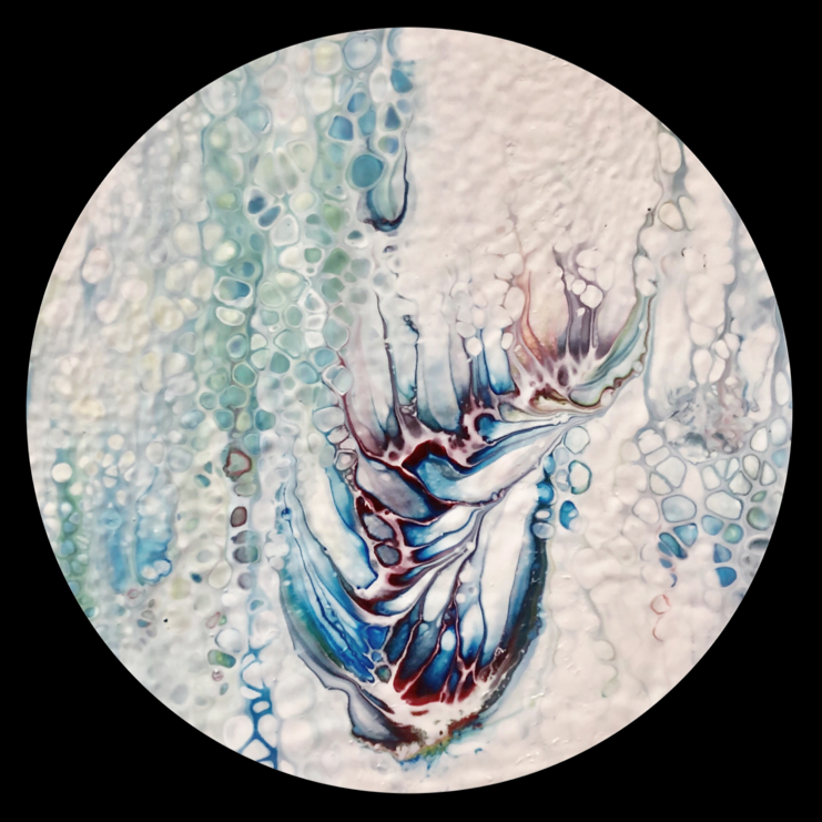 🍀ワークショップのお知らせ🍀