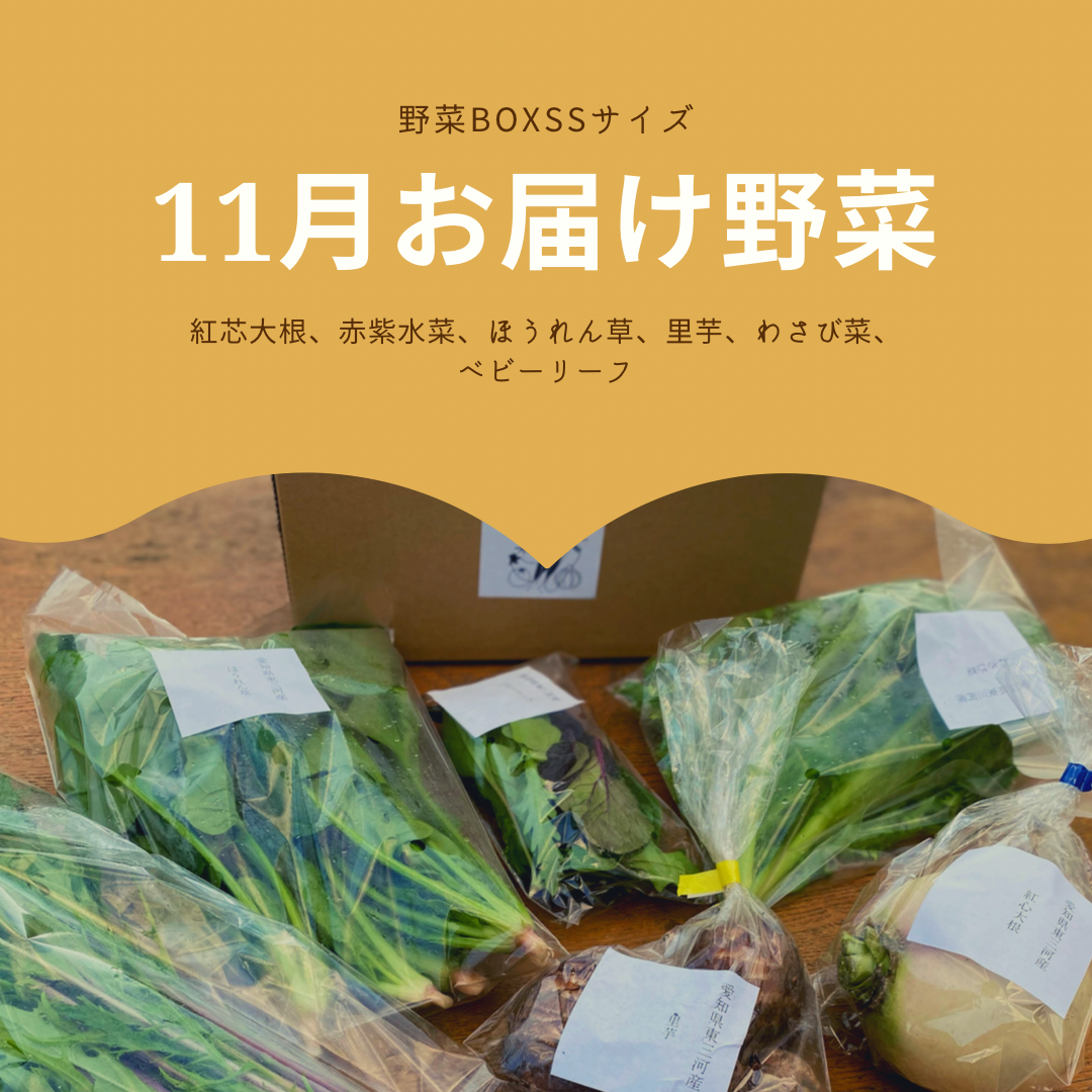 11月ある日の野菜box