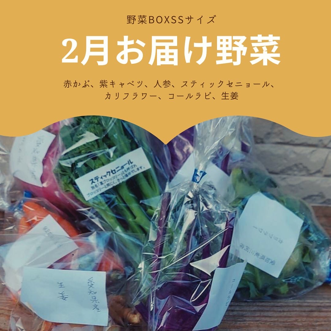 使い切り野菜box
