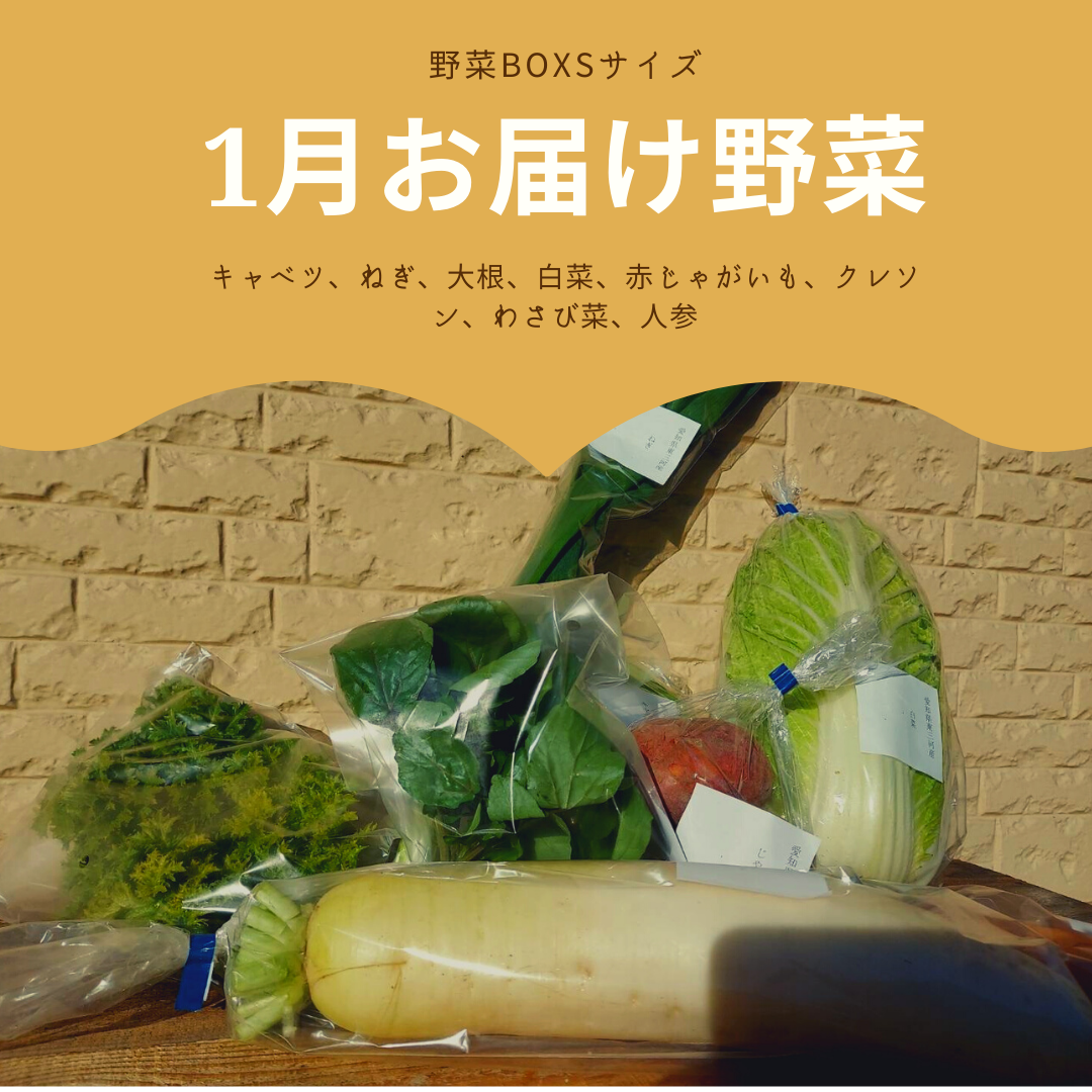 暦の陰陽が切り替わる大切な日