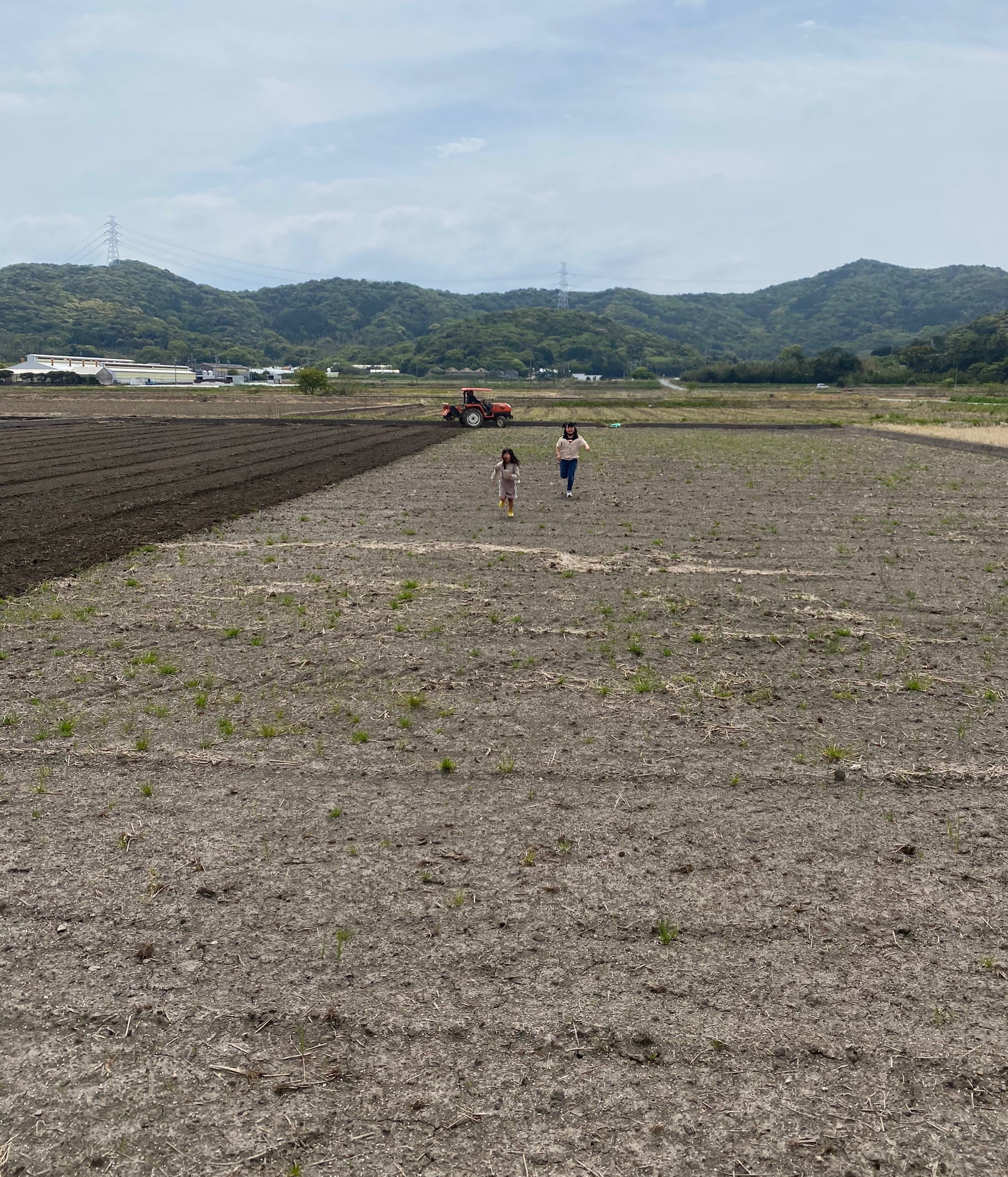 田んぼの準備