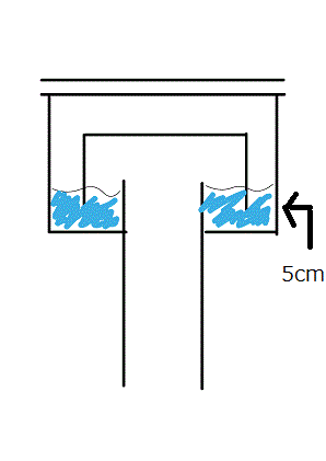 ゴキブリやコバエって排水口から入ってくるの？？