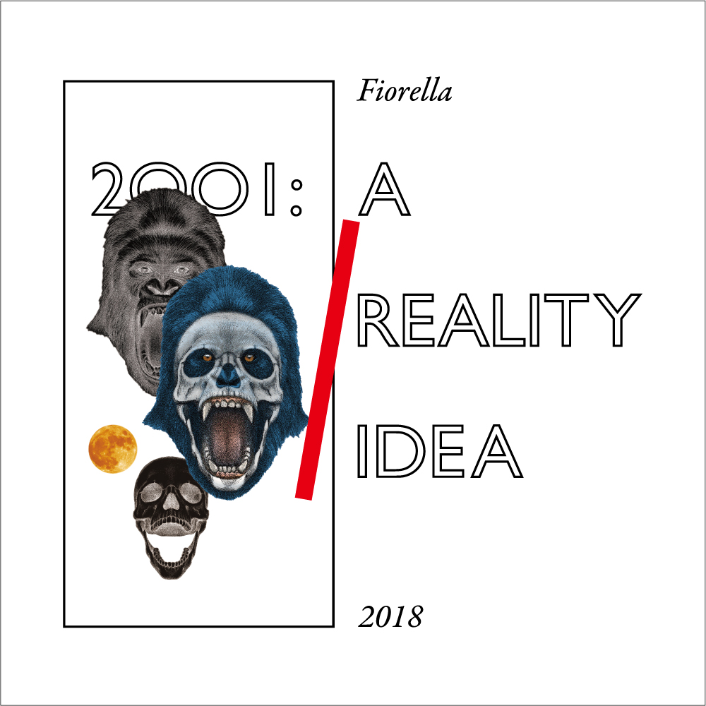 A REALITY IDEA Collection 2018 STORY