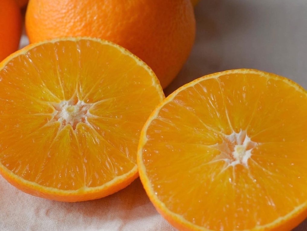 おいしい紅まどんなはどこで買える? 手軽なものからお歳暮ギフトまで愛媛県のみかん屋さんがご紹介!