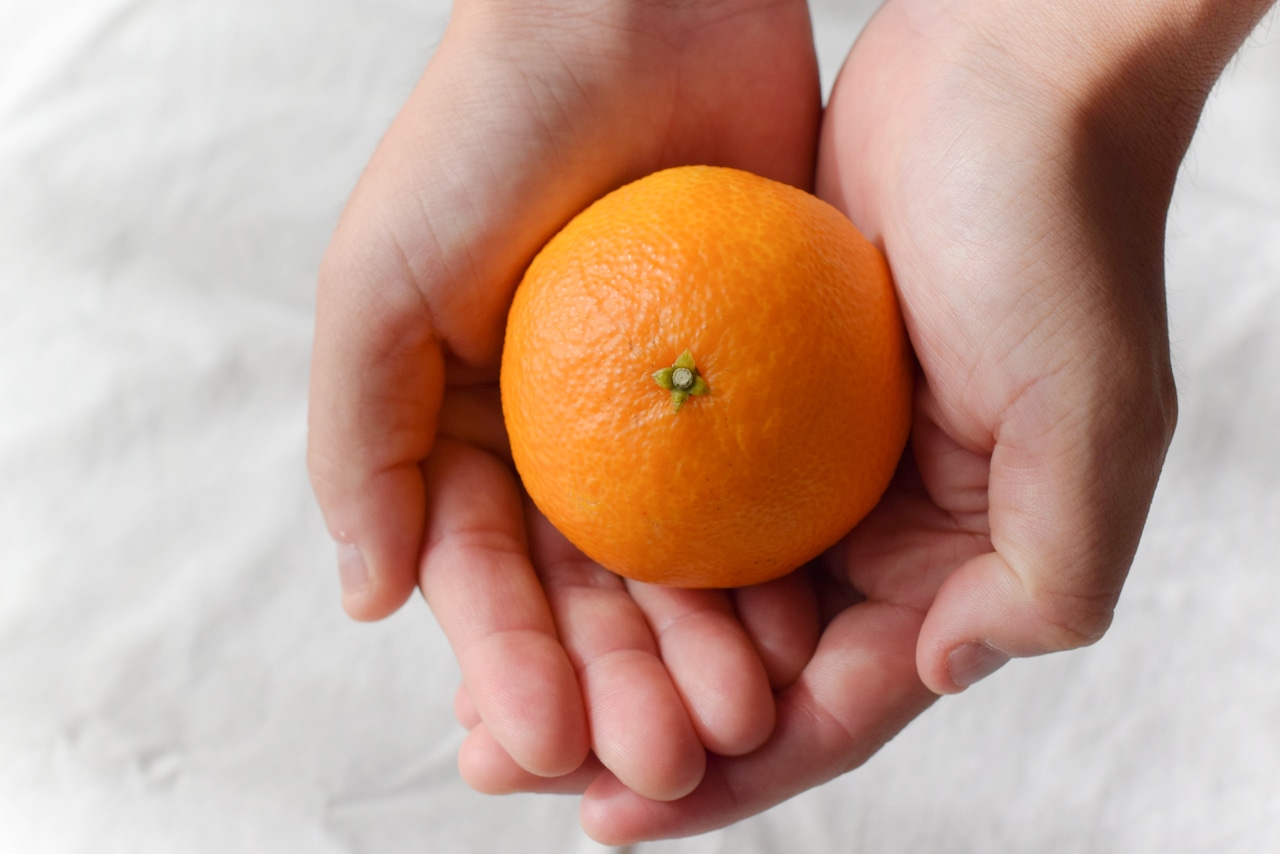 2025年の『紅まどんな』の解禁日はいつ? 愛媛のみかん屋さんが徹底解説!