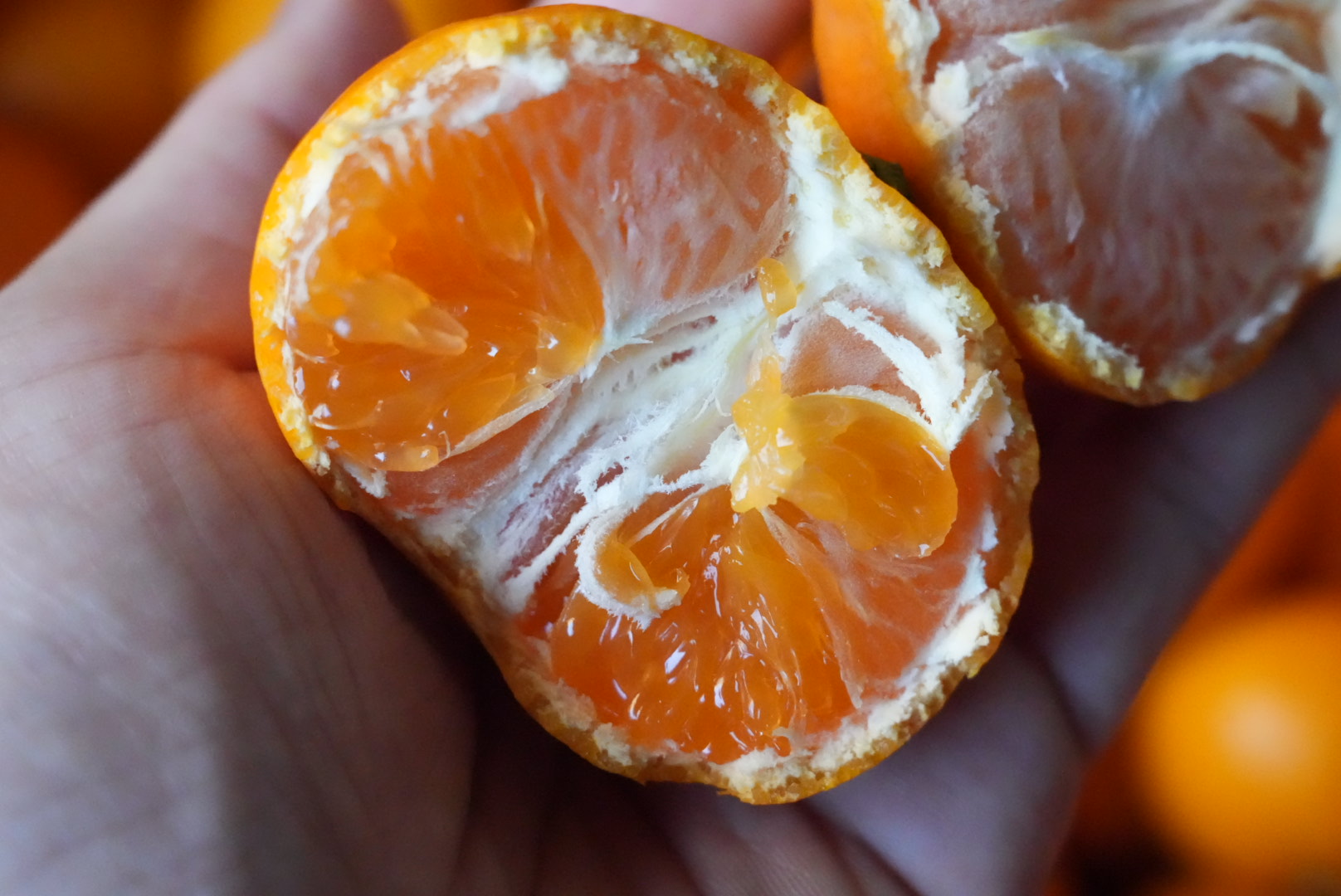 今が旬!「みかんの保存方法」 しまなみ海道のみかんのプロが徹底解説!