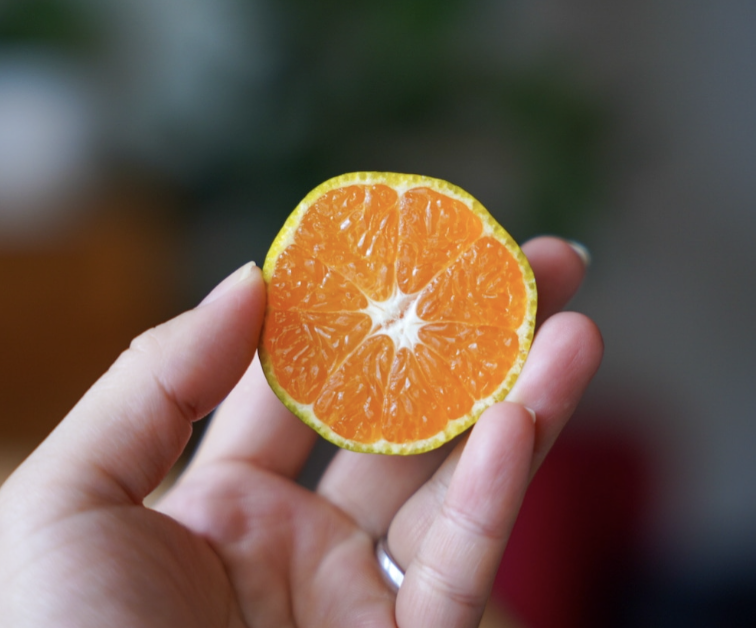 温州みかんの一番手「極早生みかん」とは？ 愛媛県のみかんのプロが徹底解説！