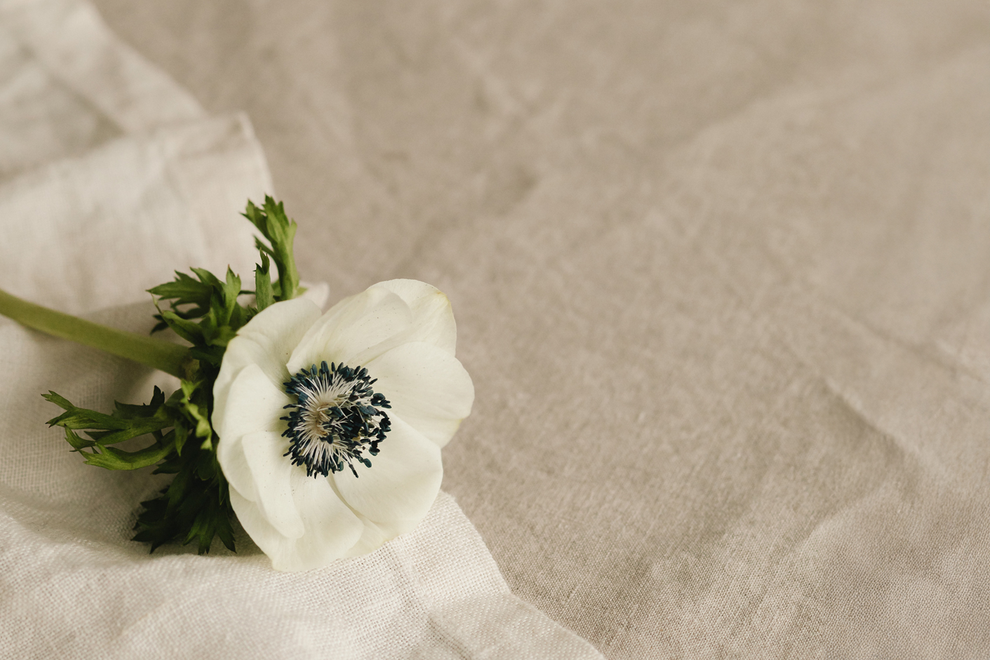 "Morceau de Paradis"という名前に込めたもの