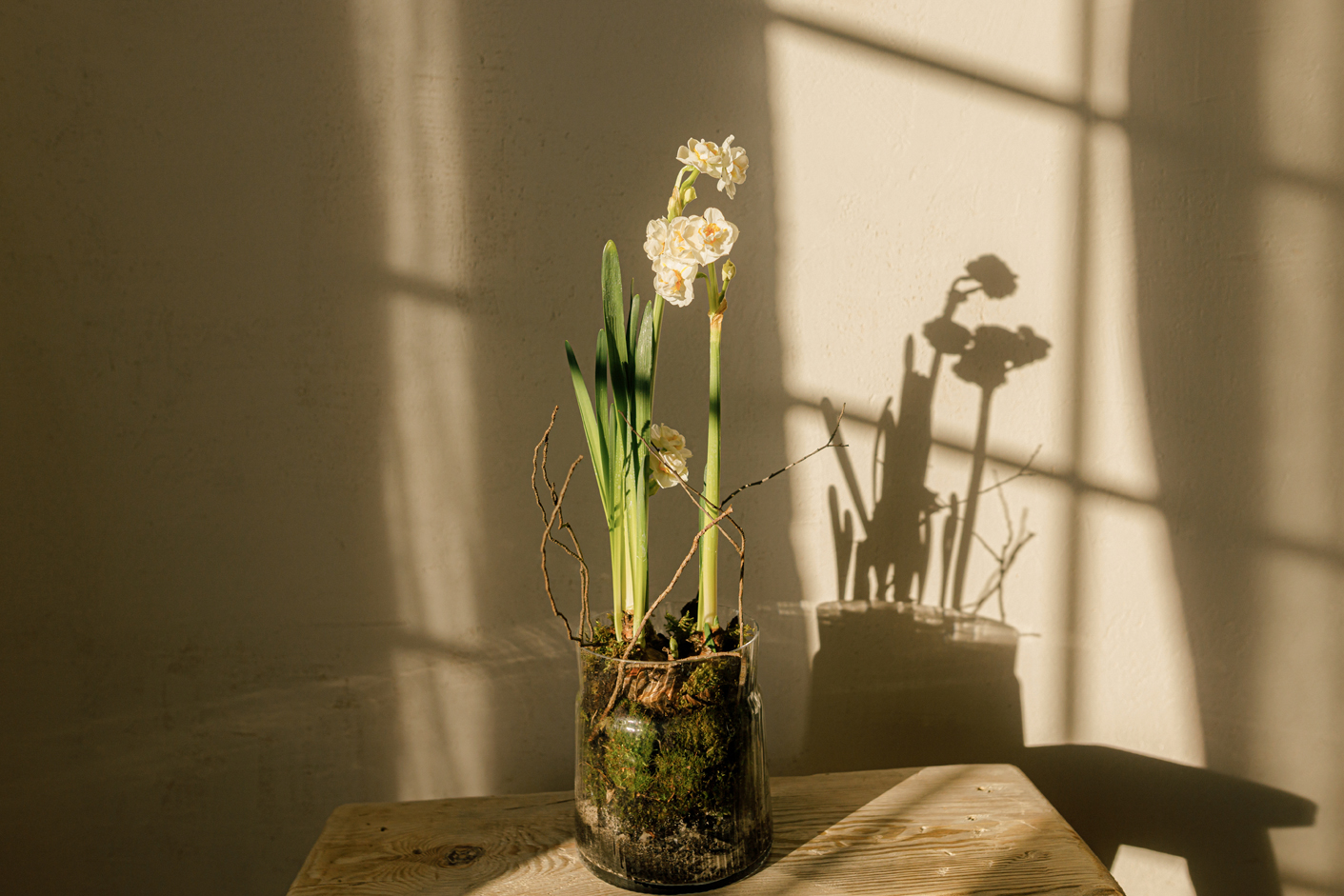 楽園は矛盾の中に宿る