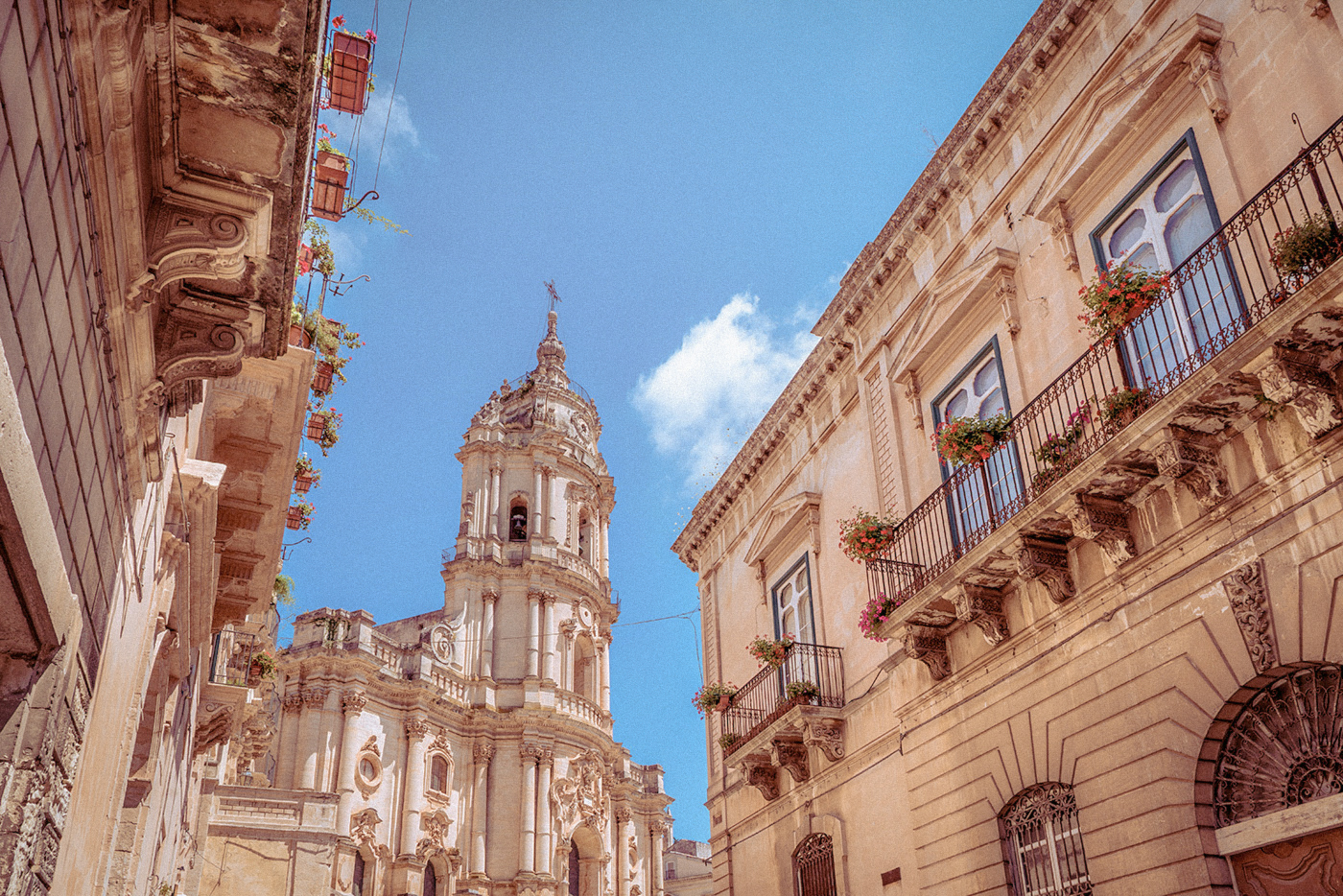 木のビスケットと、Bonajutoのやさしさの物語