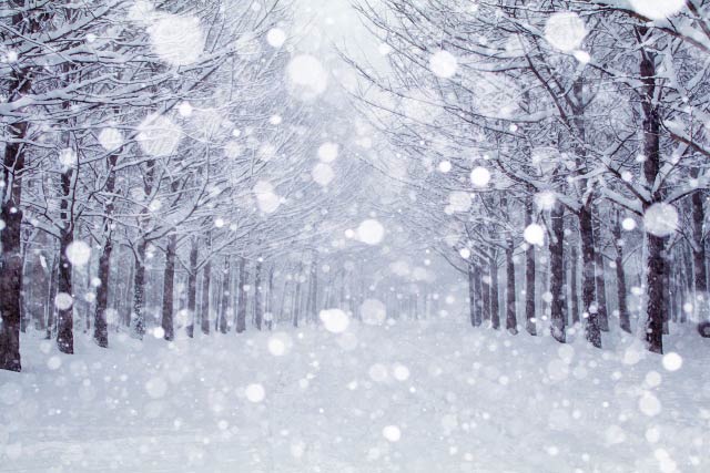 大雪や荒天にともなうお届け遅延について