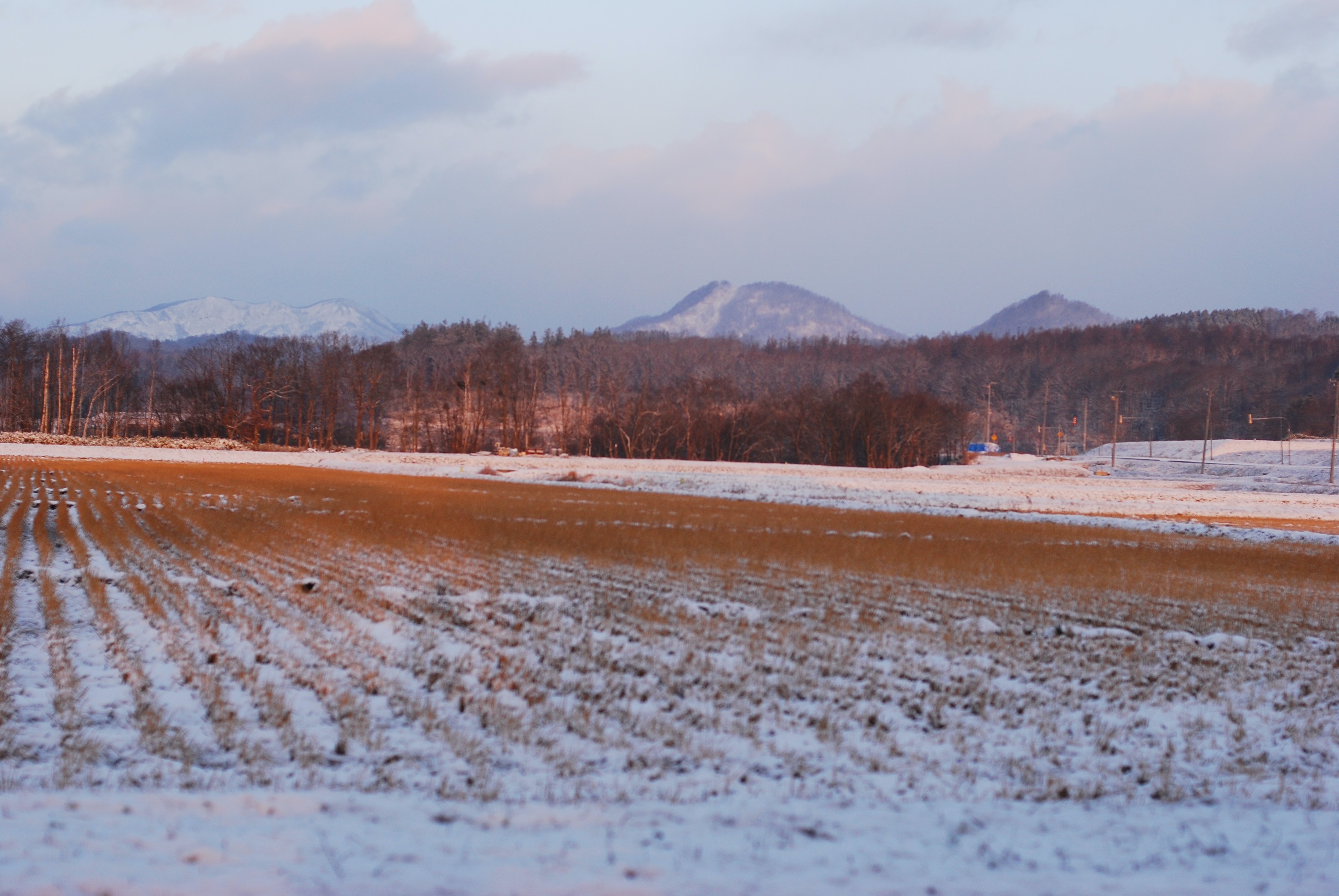 少しだけ雪景色。