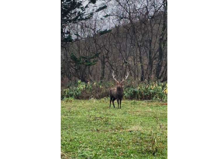 自然と共に暮らしています。