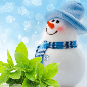 🎄🎅クリスマス🎅🎄、❄ウィンター系☃️フレグランスオイル♡メニュー紹介#2