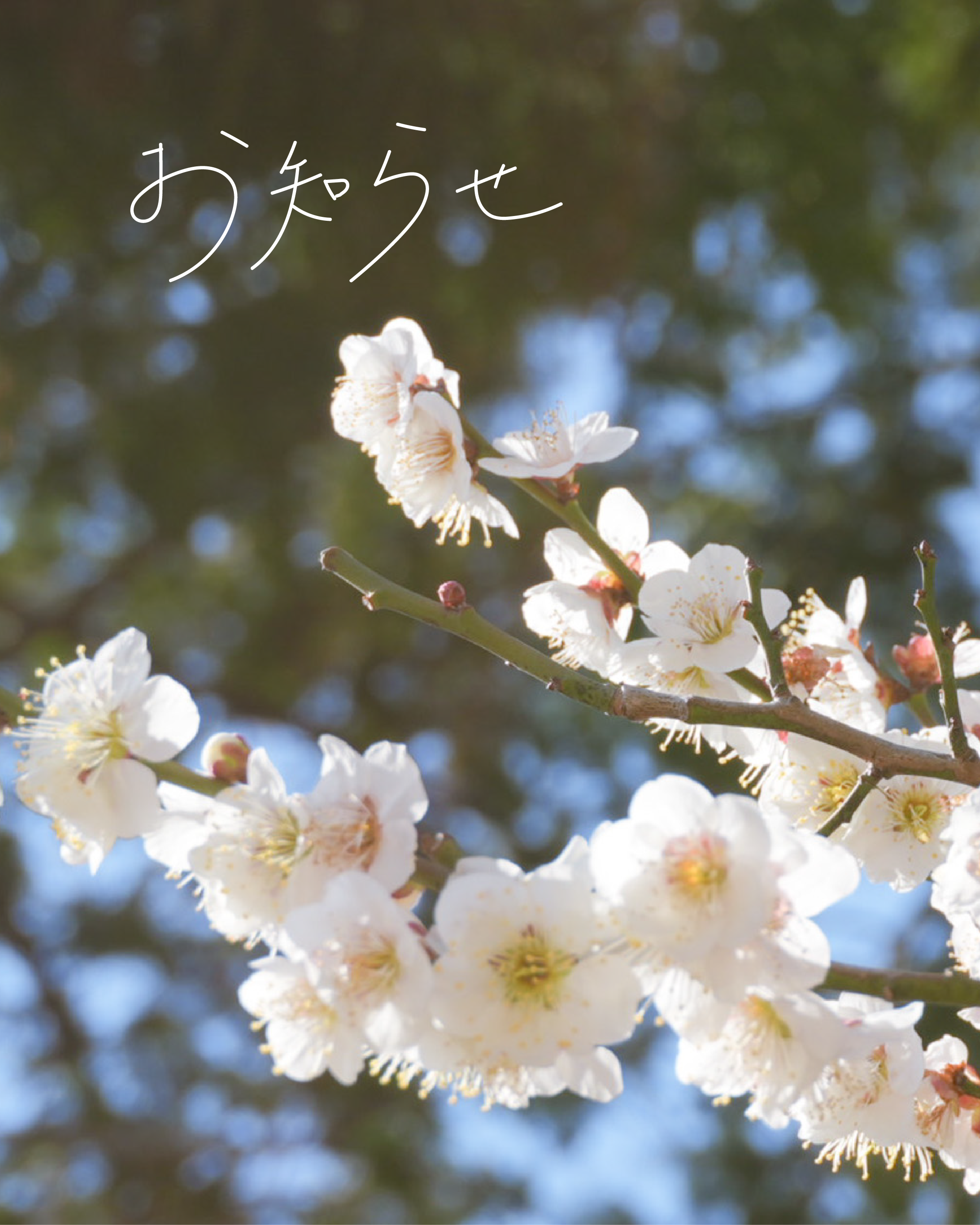 臨時休業のお知らせ