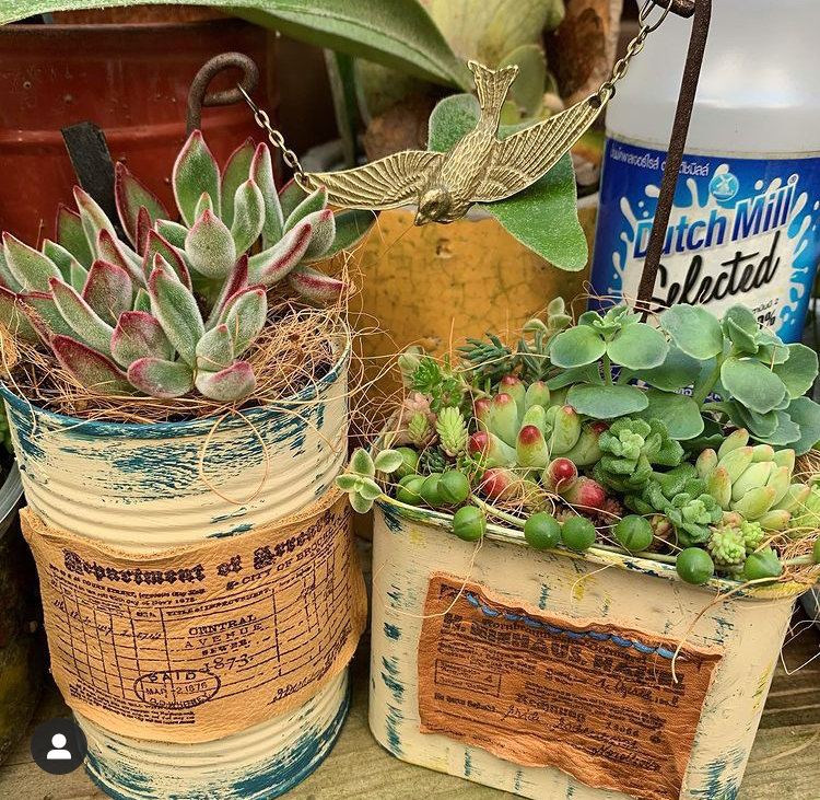 お客様の作品のご紹介です♡多肉植物のディスプレイに