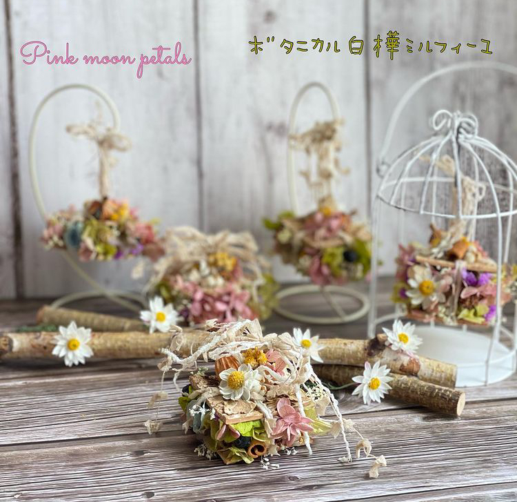 背景シートが撮影に大活躍しています！