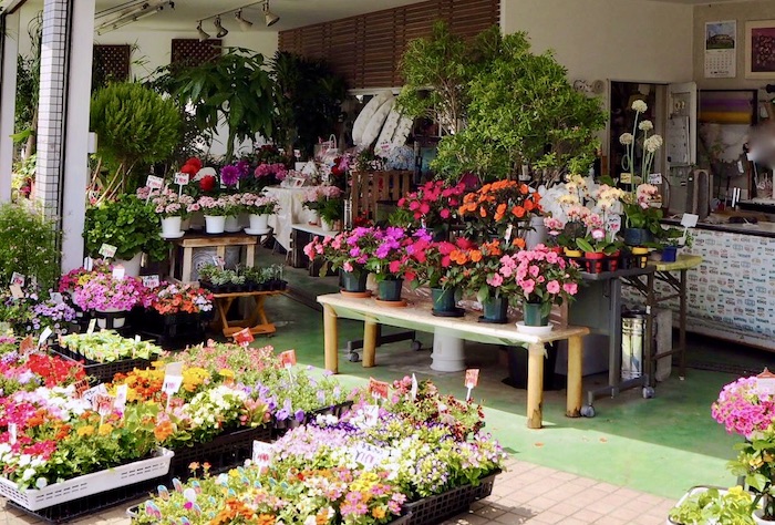 店舗のご案内