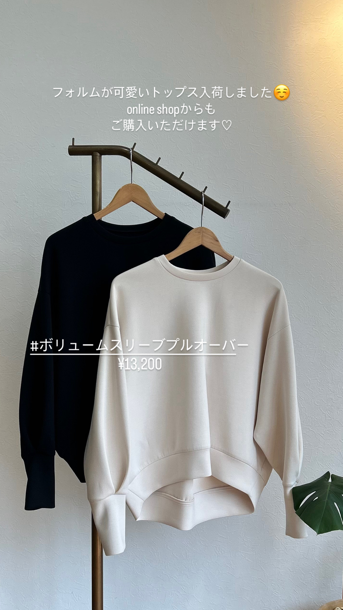 新作プルオーバー cafune