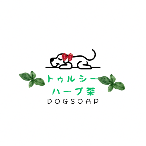 １周年記念で新商品をご用意