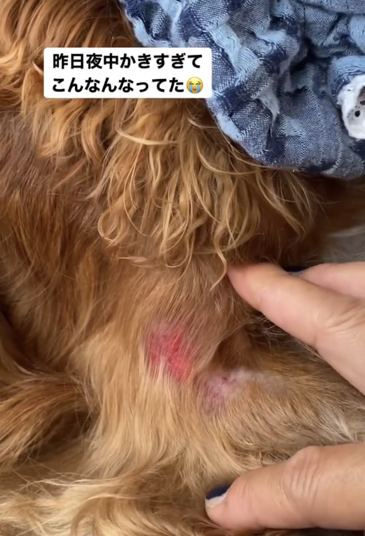 石けんの中身が大事な事