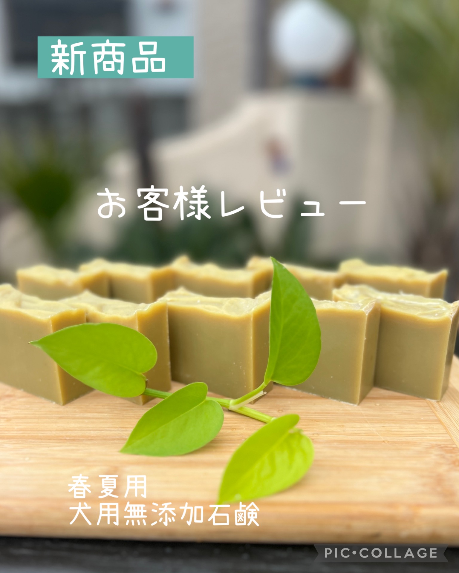 新商品レビュー
