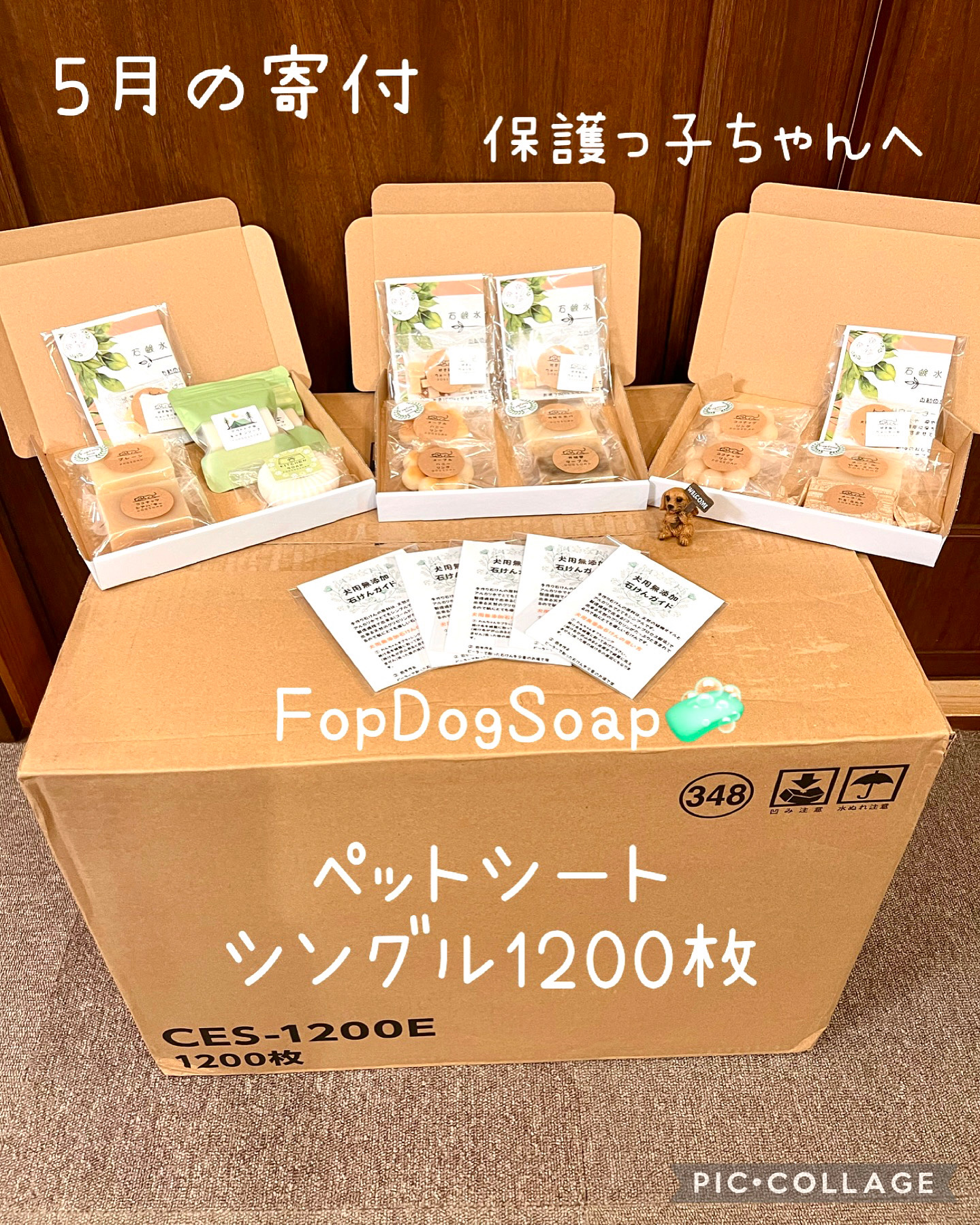 5月の寄付活動