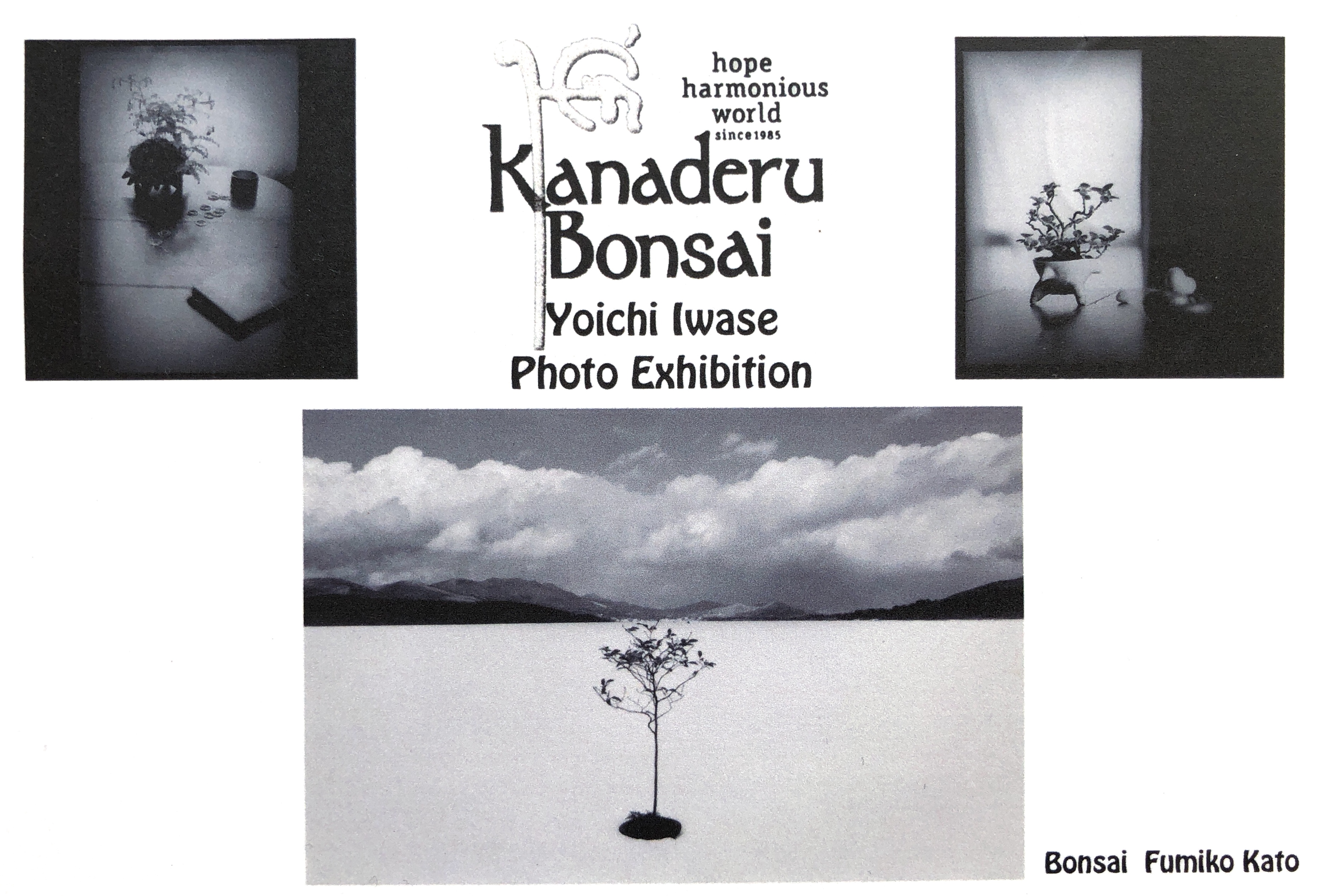 奏デル盆栽写真展　加藤文子さんの奏デル盆栽を40年間もの間撮り溜めた、岩瀬陽一さんの写真展開催中！