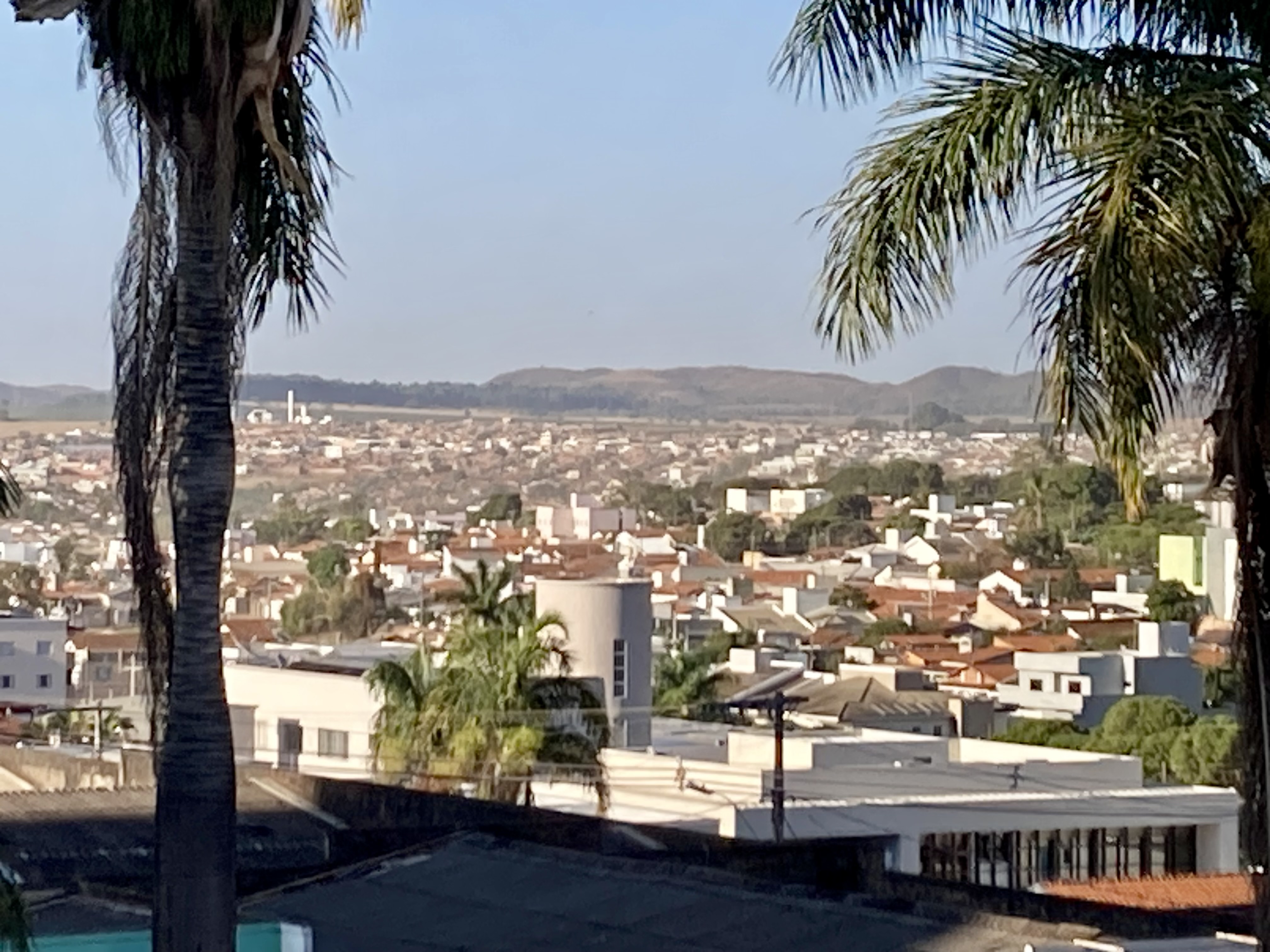 コーヒーの勉強がしたくて、本場ブラジルまで行ってきた⑥