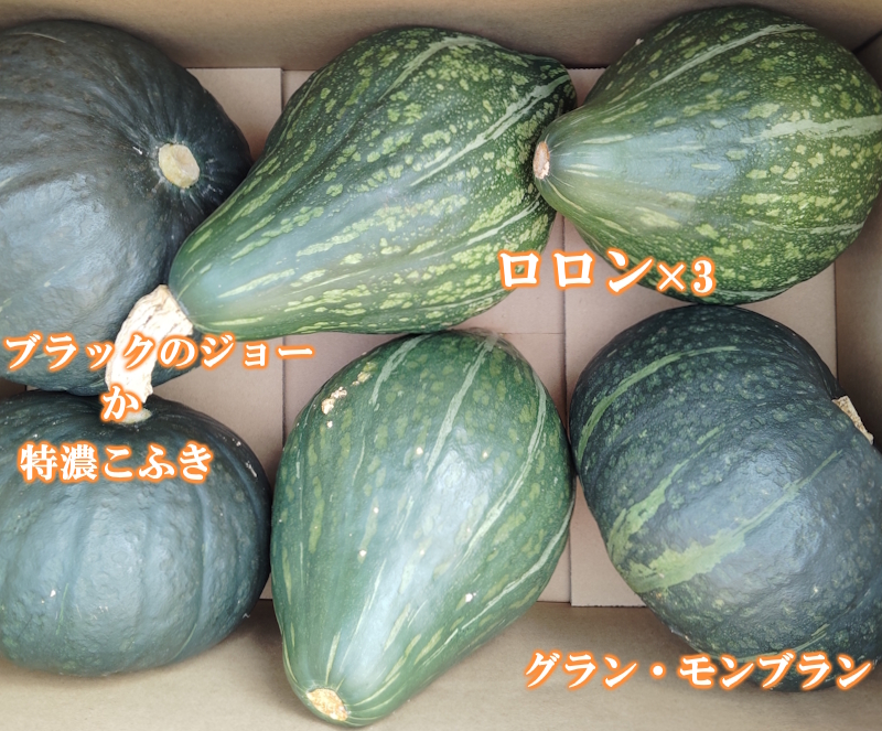 思いのほか美味しいロロン