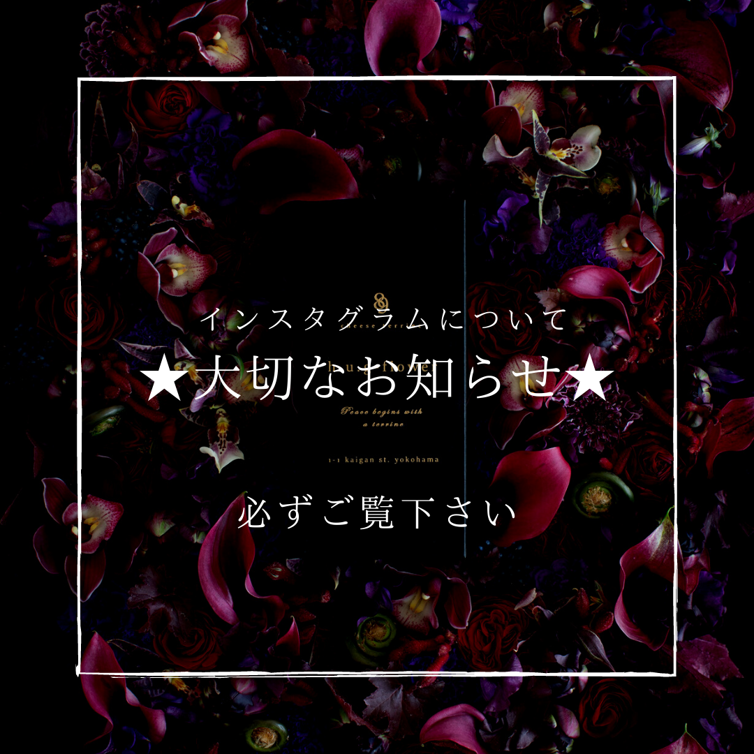 ◼︎インスタグラムについて◼︎