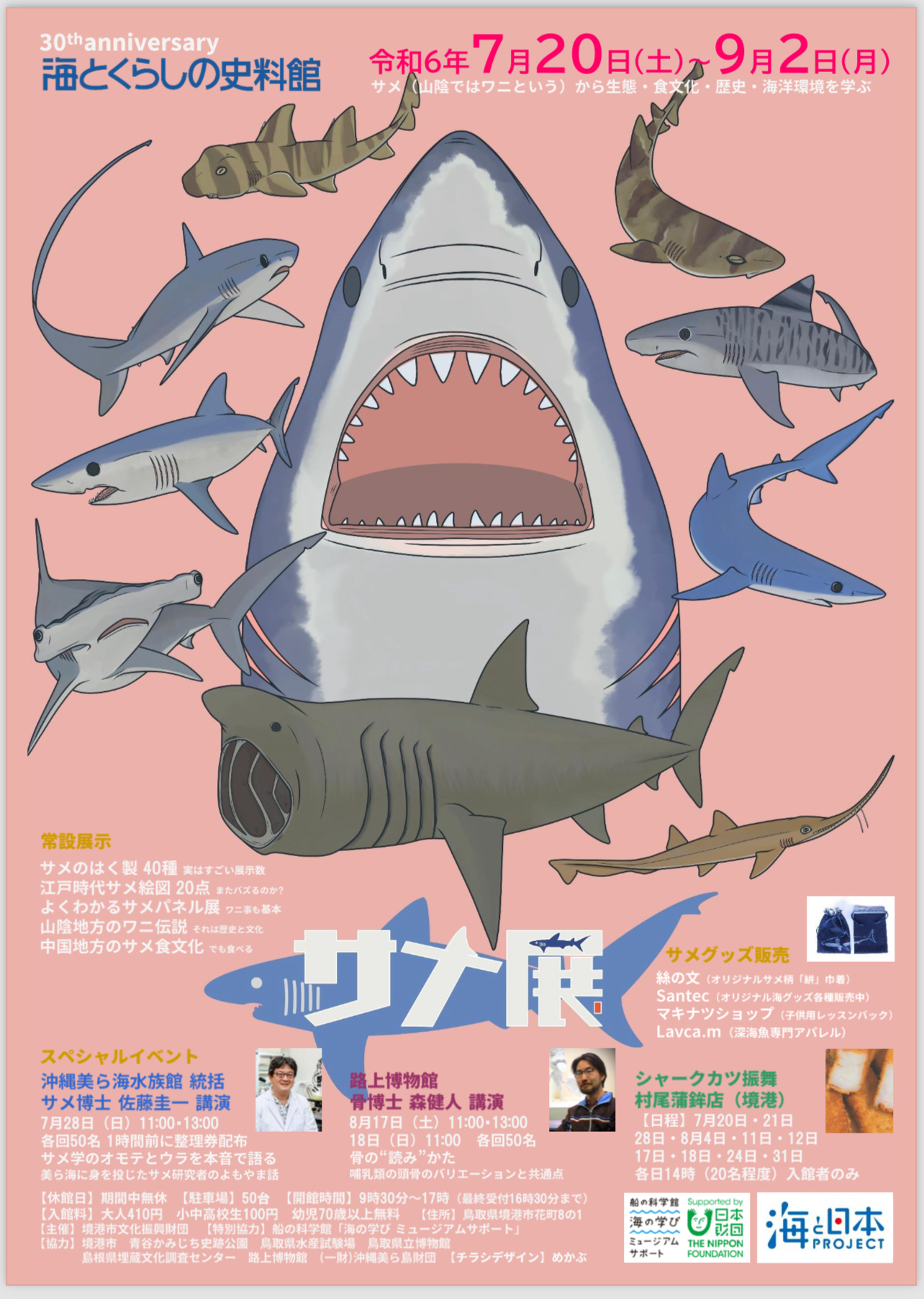 海とくらしの資料館 「サメ展」にてサメグッズ委託販売！サメアップリケ出します ！鳥取県境港市