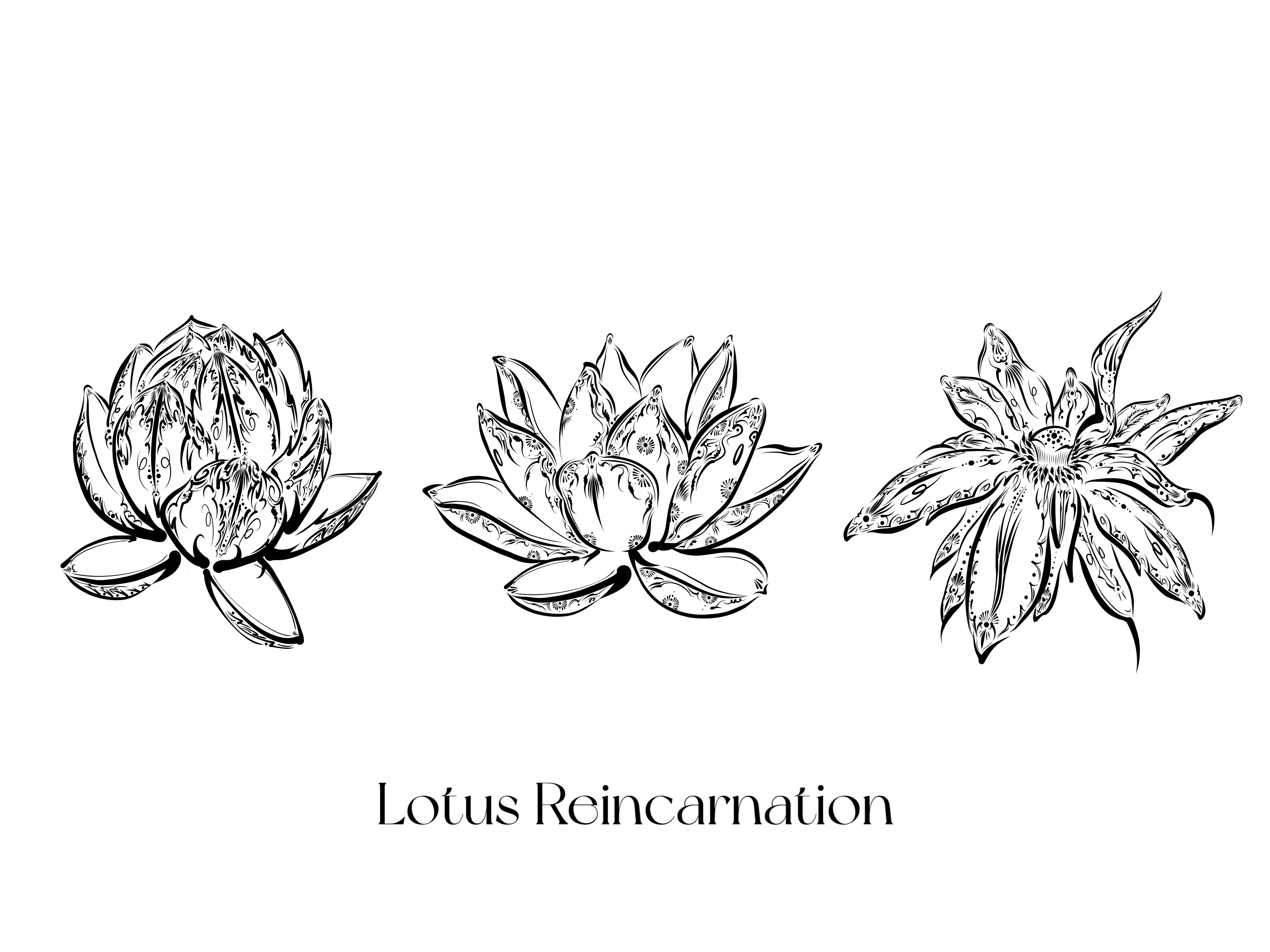 Lotus Reincarnation-Teeリリースしました