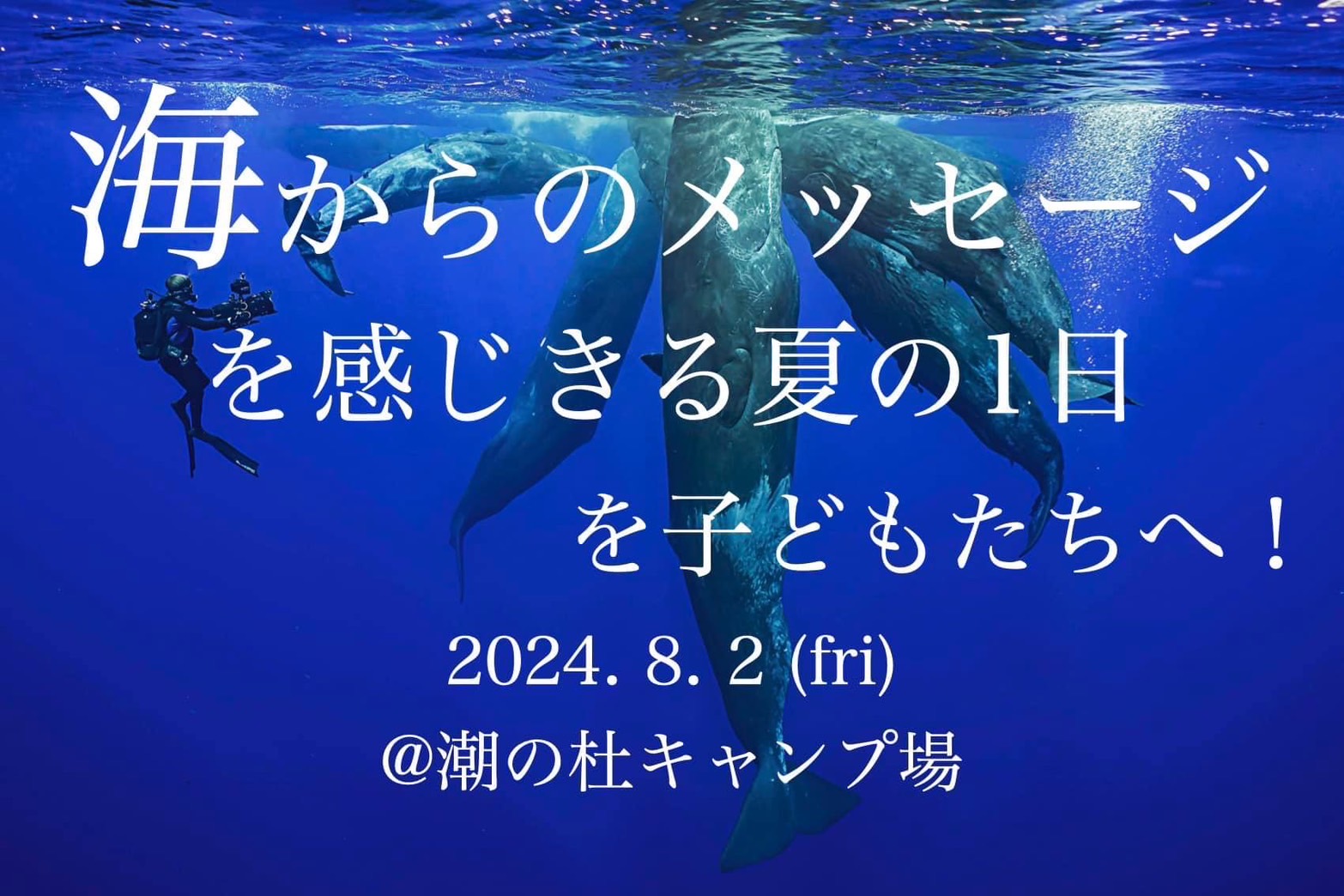 出店情報！7月・8月