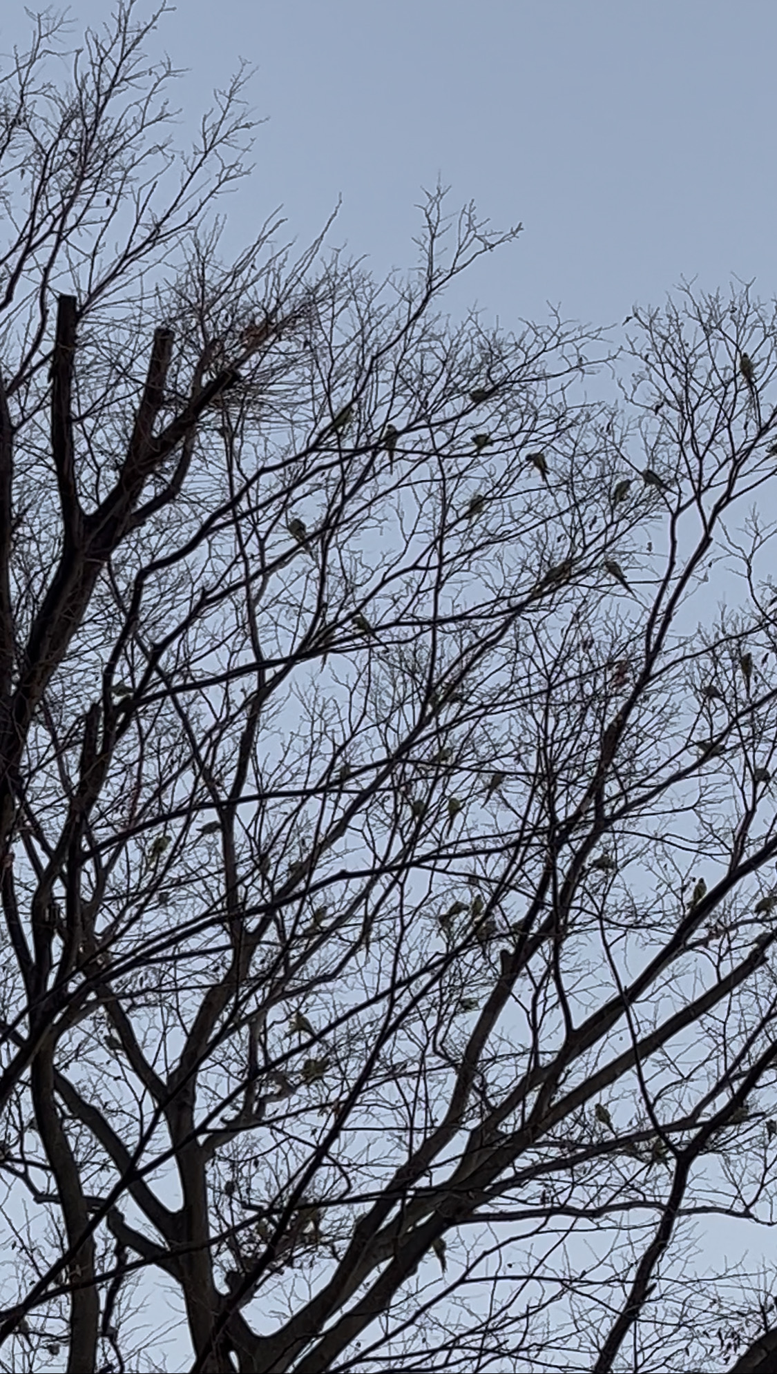 ○ 2026年2月　営業予定のご案内