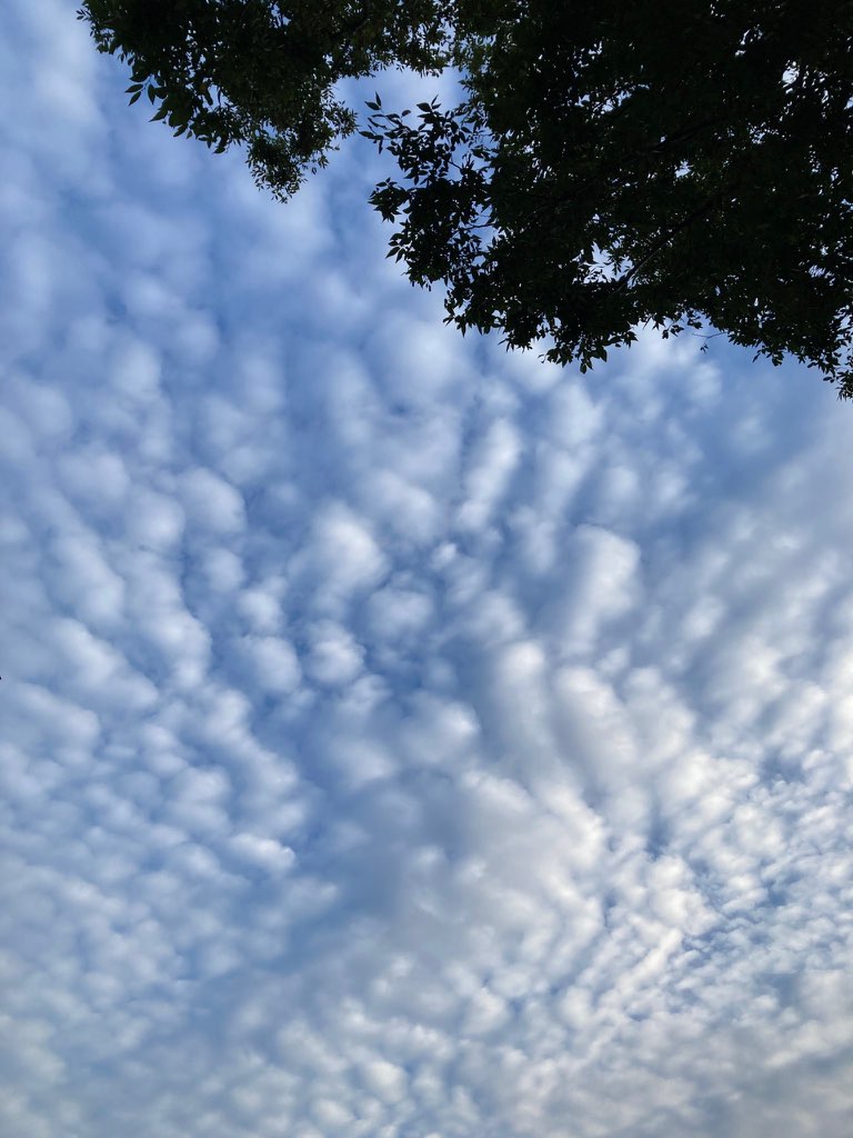 ○ 2025年9月 営業予定のご案内