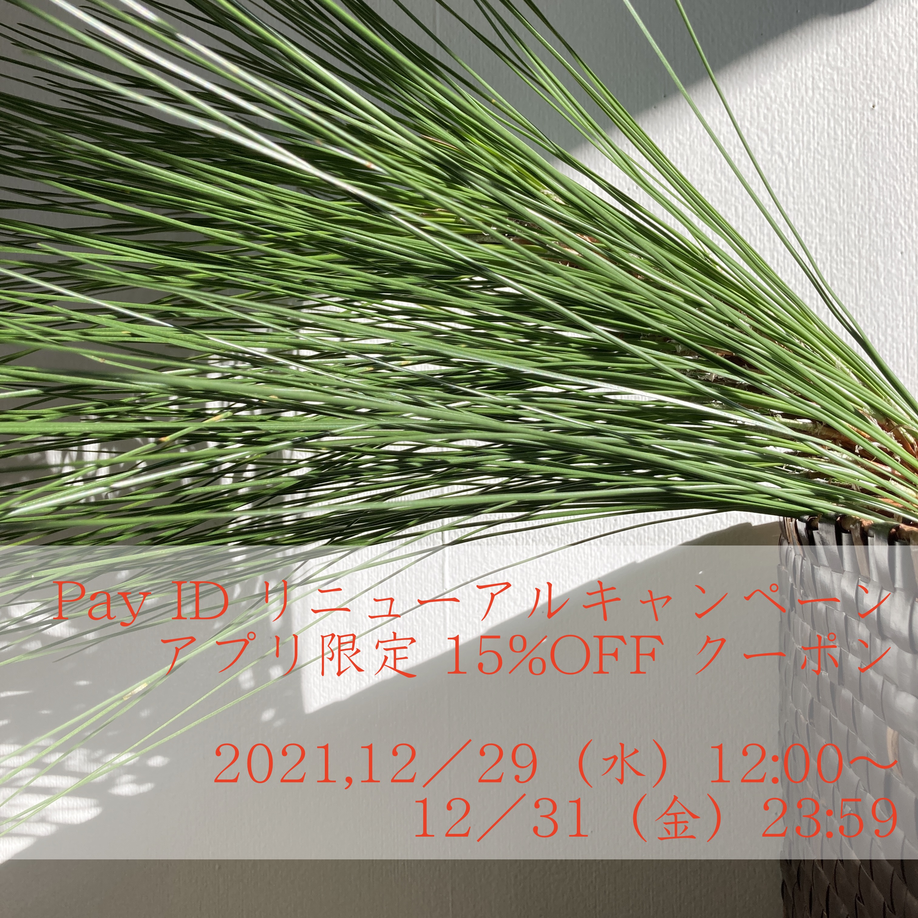 ■ BASE 15%OFFキャンペーン第2弾　開催中 〜 12/31(金) 23:59 まで　