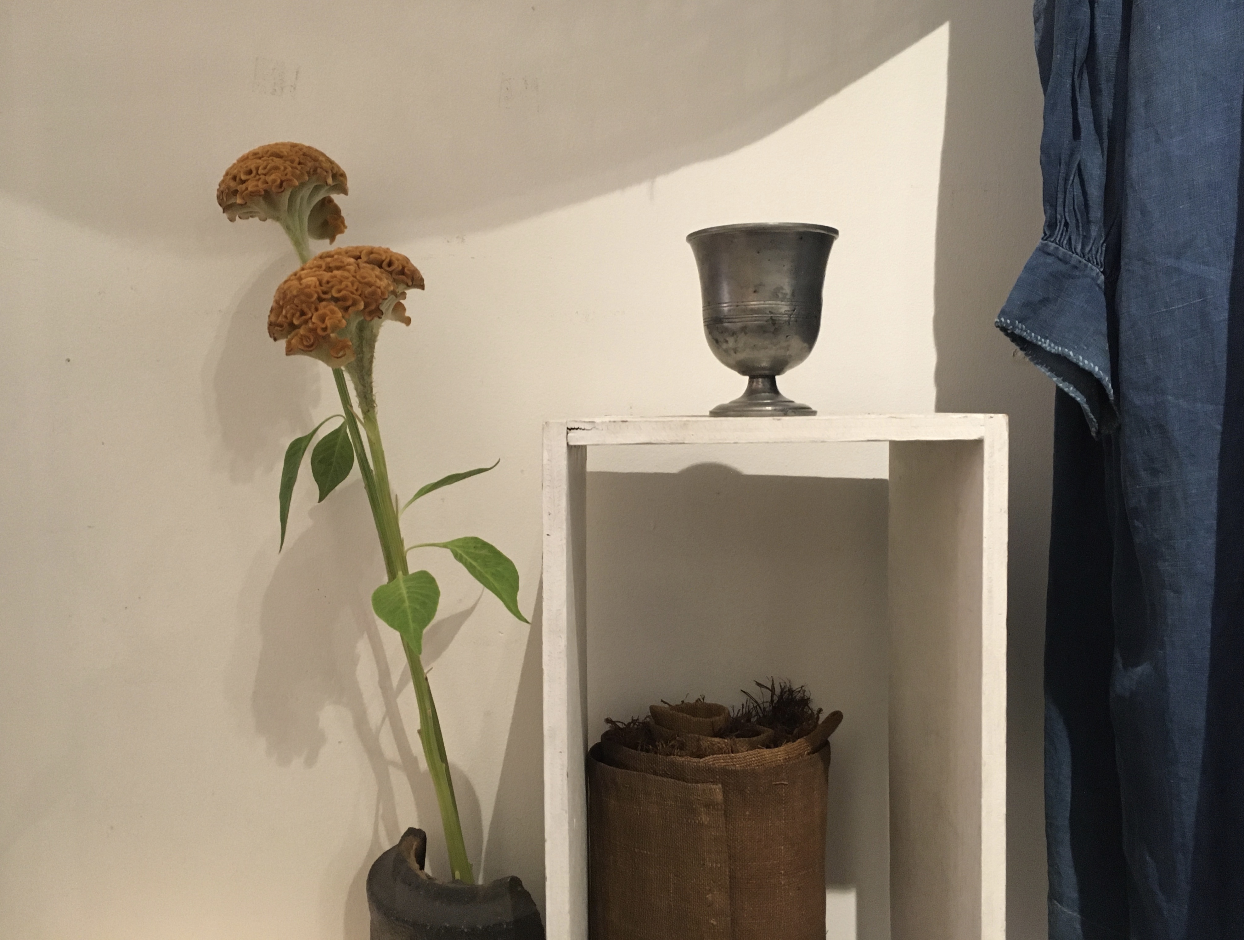□ 働き布万博 - 14th anniversary exhibition -  *23(水)休展日