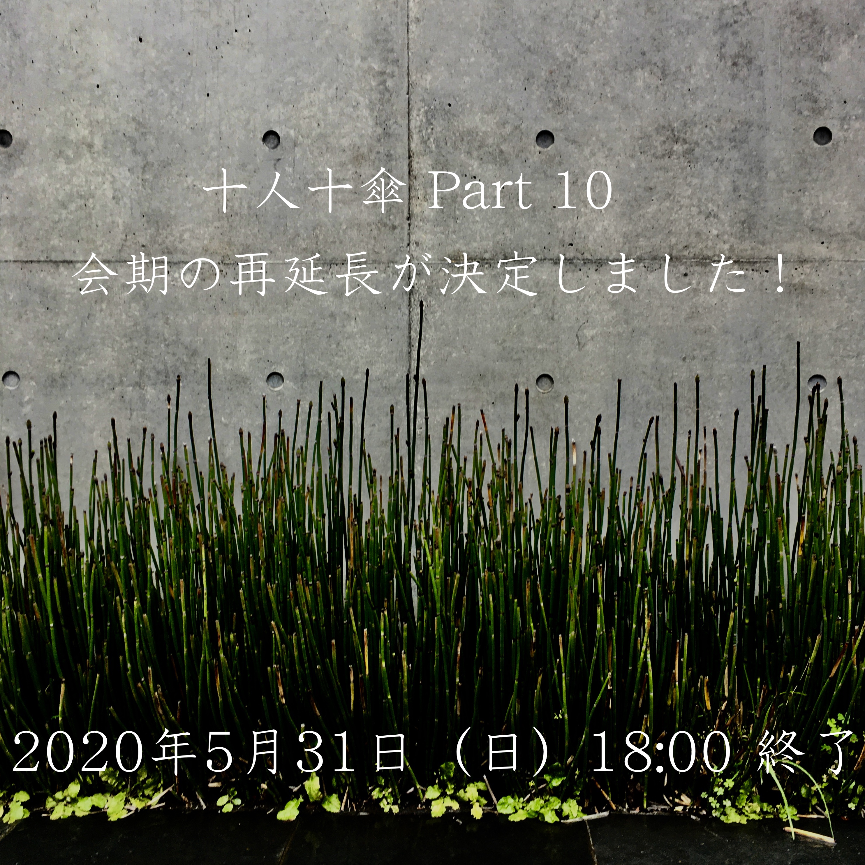 ◉ 十人十傘 Part 10 会期再延長のお知らせ : - オンライン限定開催中 -