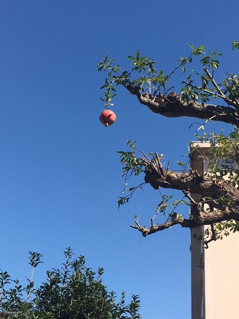 ○ 2025年10月 営業予定のご案内