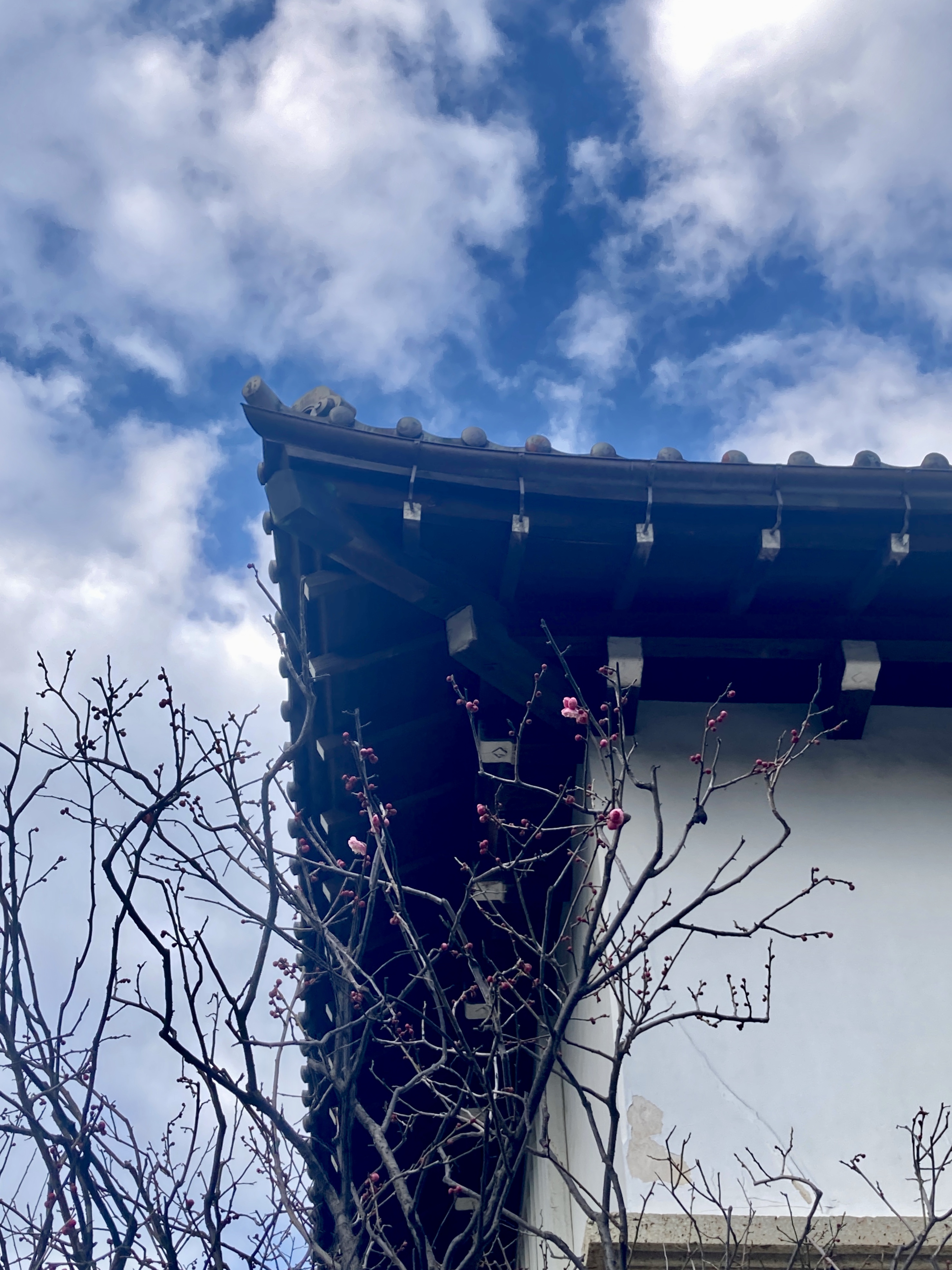 ▪︎日本民藝館　／　美の標準　展へ