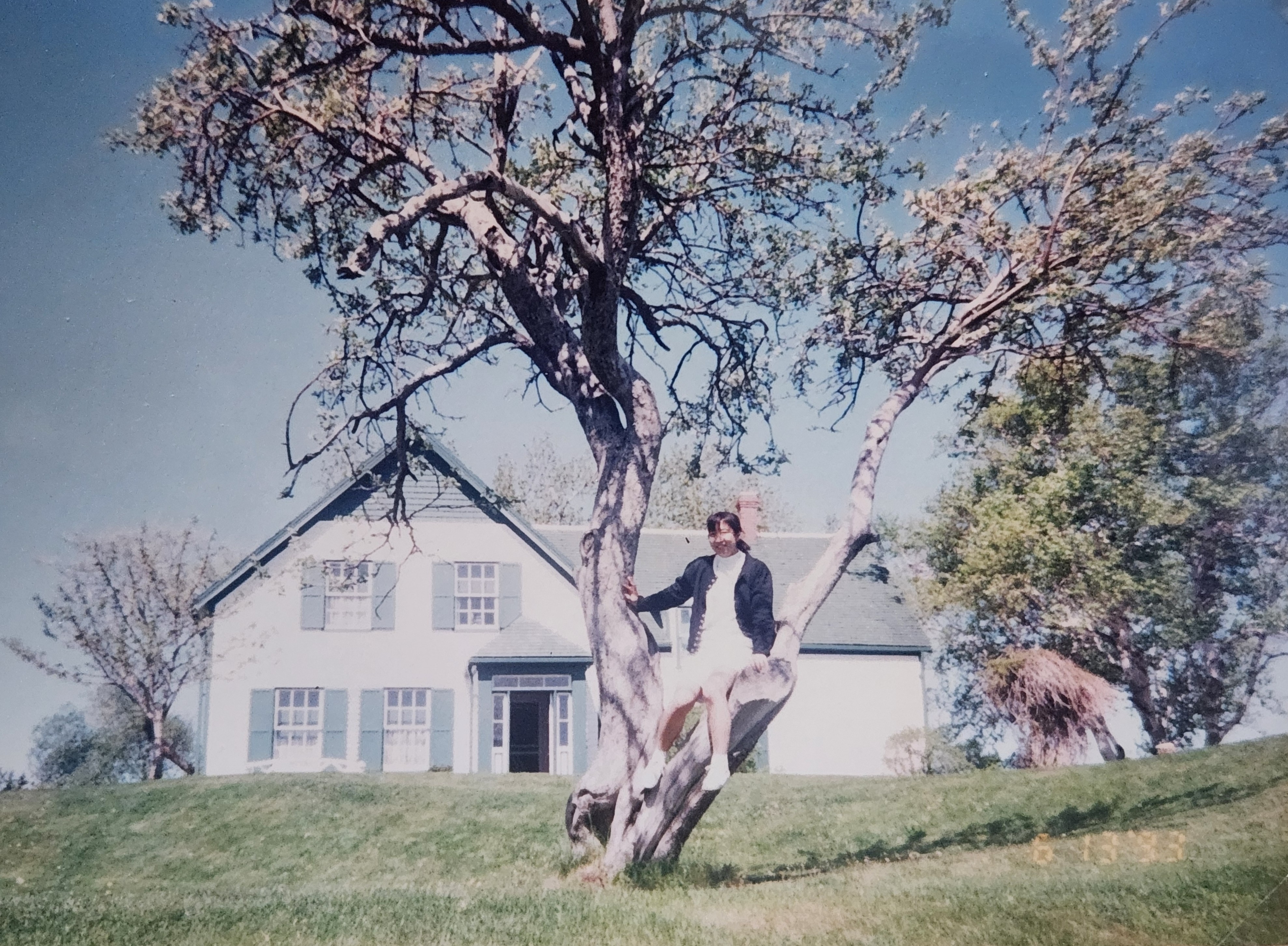 キリム織り30年